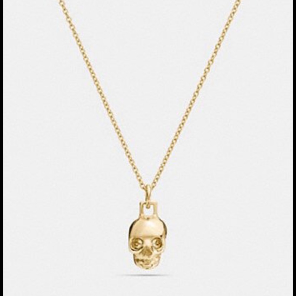 Mini Demi-Fine Skull Necklace

GOLD